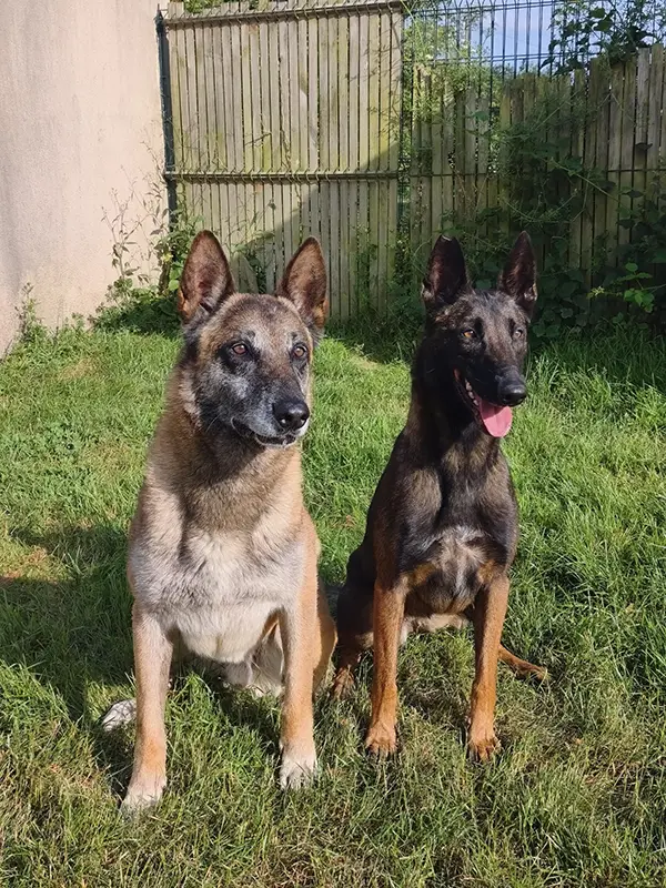 tosca et o'marley